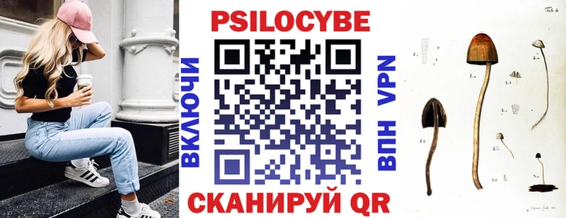 Псилоцибиновые грибы прущие грибы  блэк спрут зеркало  Нея 