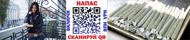 Бошки марихуана планчик Нея